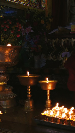 秋山無(wú)樹(shù)故崚嶒,幾度支筇未忍登。 荒路行愁逢牧馬,舊交老漸變高僧。 鐘樓自吼南朝寺,佛塔還燃半夜燈。 莫向雨花臺(tái)北望,寒云黯淡是鐘陵。